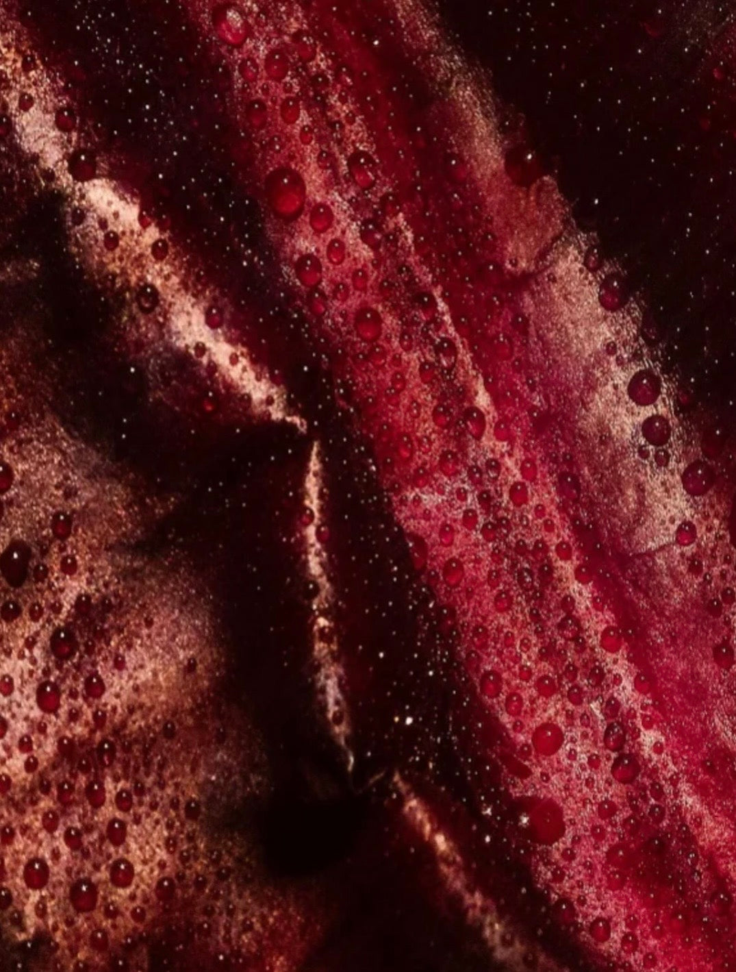 Anti-Aging Tagescreme mit Hyaluronsäure