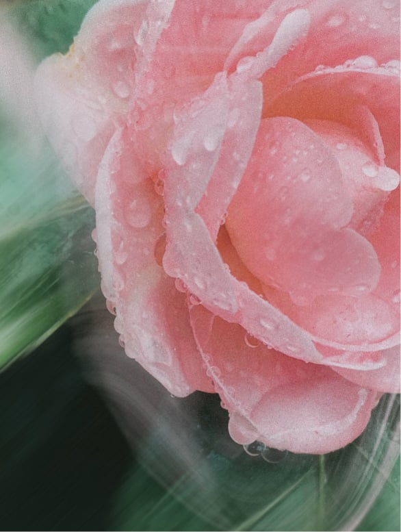 Sonnencreme LSF 30 für Gesicht & Körper