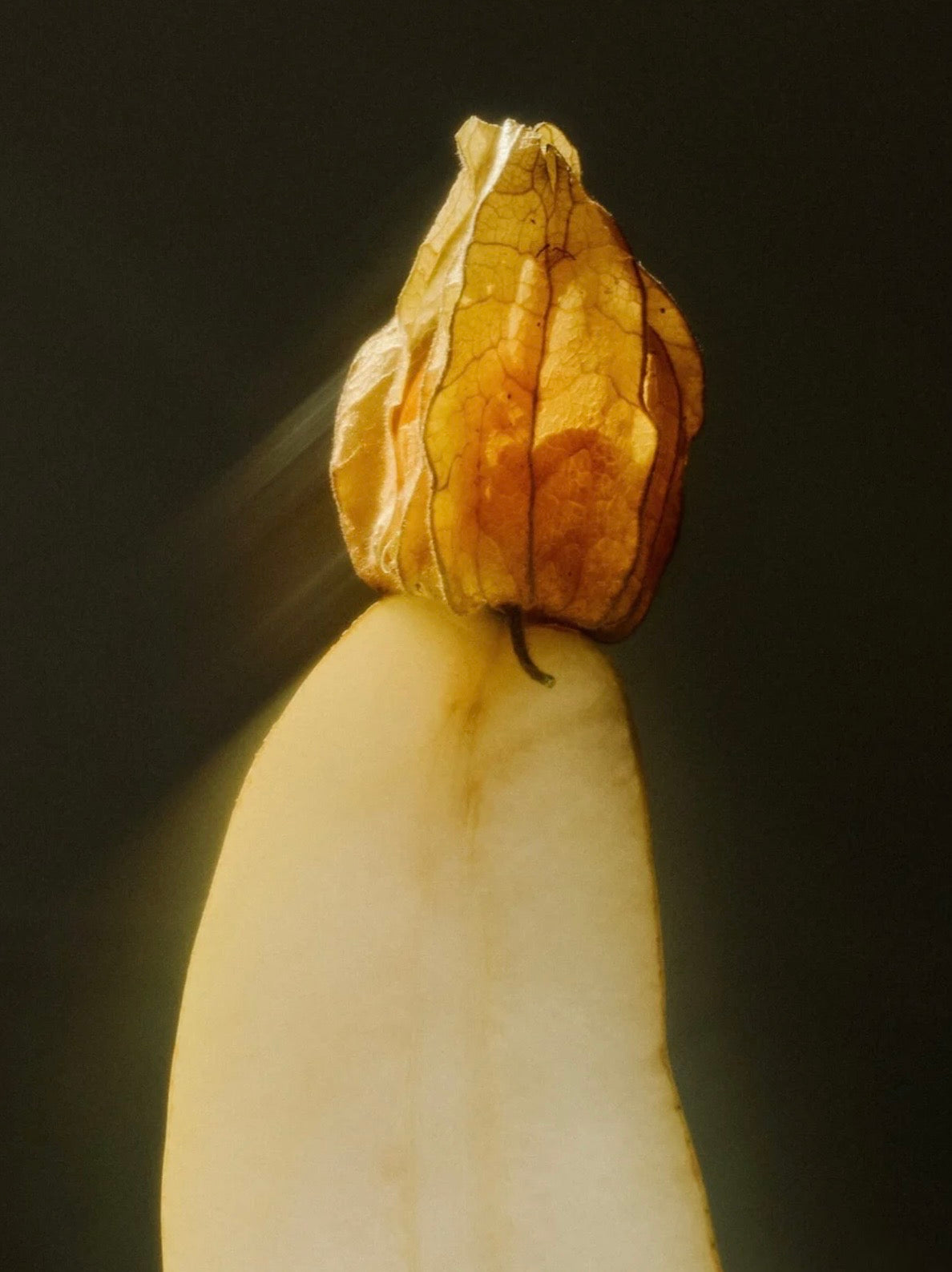 Zarte Reinigungsmilch mit Arganöl