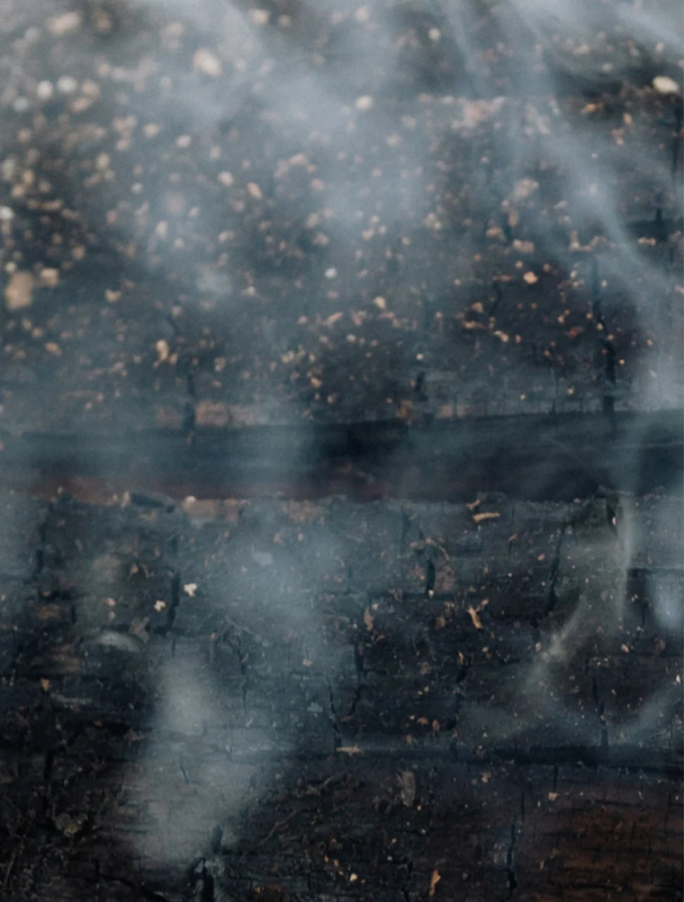 Panthenol Conditioner