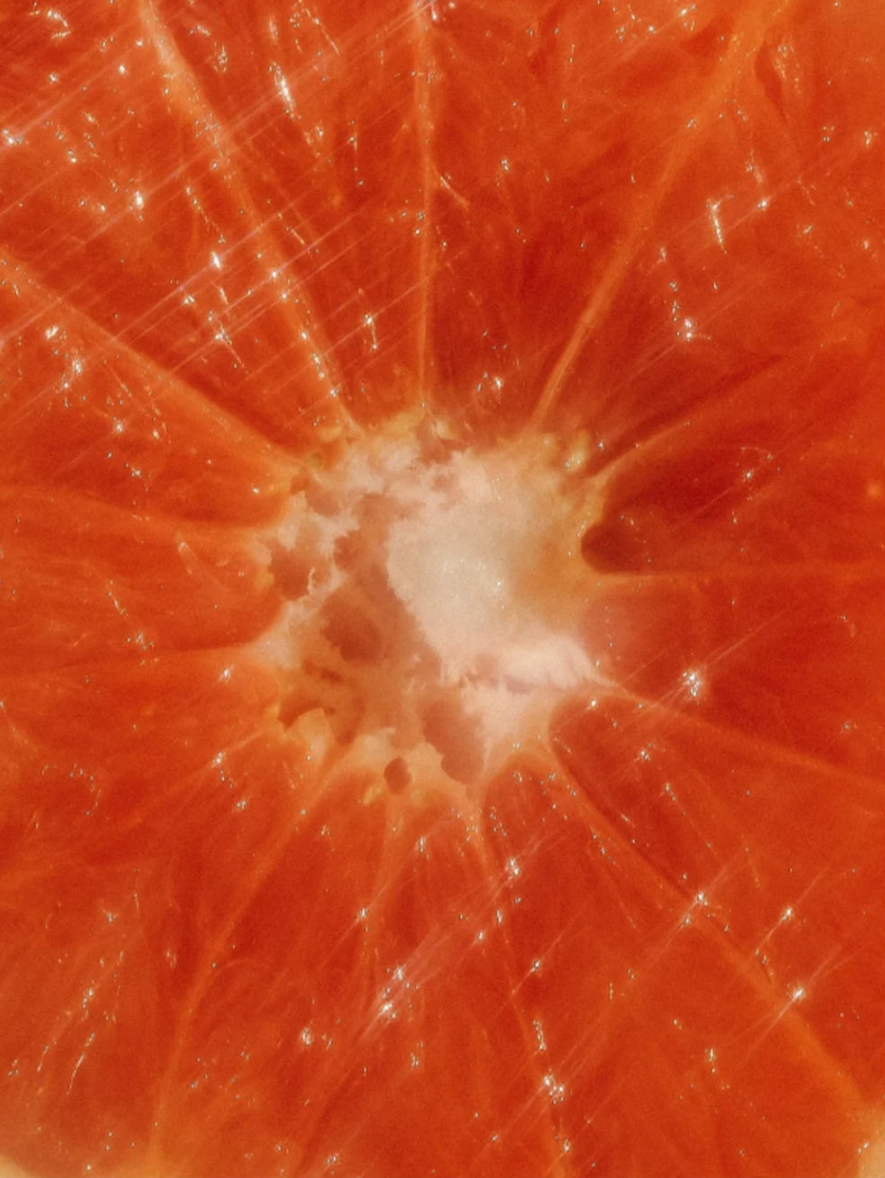 Farbshampoo mit AleoVera