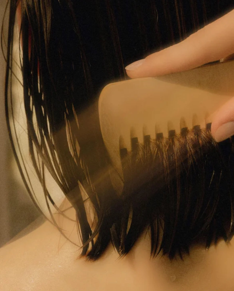 Feuchtigkeitsspendendes Shampoo mit AleoVera